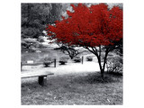 Quiet Moments