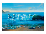 Wild Water