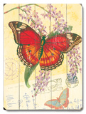 Natural Wonders-Butterfly