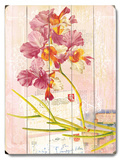 Natural Wonders-Pink Orchid