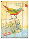 Natural Wonders-Bird