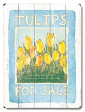 Tulips for Sale