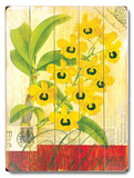 Natural Wonders-Yellow Orchid