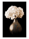 Hydrangeas in A Vase