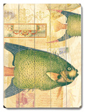 Natural Wonders-Fish