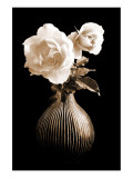Lighted White Roses