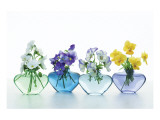 Pansy Party