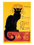Chat Noir