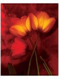 Tulip Fiesta in Red and Yellow I