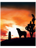 Spirit of the West