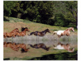 Running Free