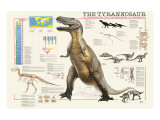 Tyrannosaurus