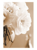 Roses in Sepia