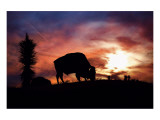 American West