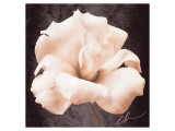 Lisianthus