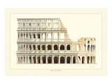 Roma  Il Colosseo