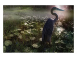 Mystic Heron