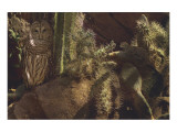 Prickly Pair