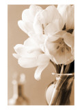 Tulips in Sepia