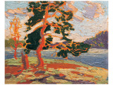 The Pine Tree