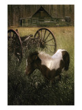 Wagon Pony