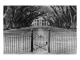 Oak Alley Plantation  Louisiana