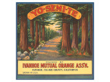 Yo-Se-Mite Oranges