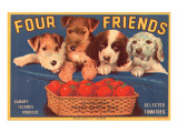 Four Friends Selected Tomatoes