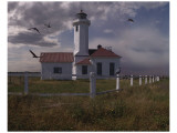 Point Wilson