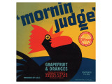 Mornin Judge Grapefruit and Oranges