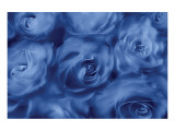 Roses Are Blue