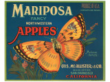 Mariposa Fancy Northwestern Apples