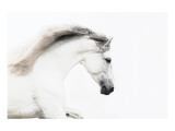 White on White
