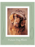 Picture Day Blues