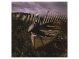 Beached