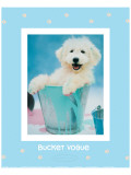 Bucket Vogue