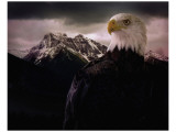 Eagle Mountain