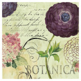 Botanica