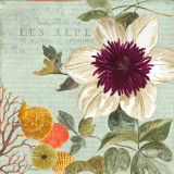 Shabby Chic