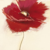 Red Poppy Power III