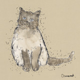 Kitty Tales IV