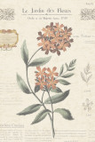 Le Jardin des Fleurs II
