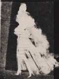 Silhouette 4