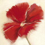 Red Poppy Power IV