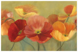 Summer Poppies