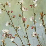 Wind Blossoms I