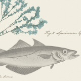 Sea and Shore I