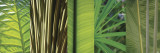 Eco Compostion II