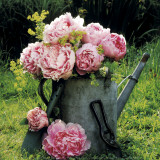 Watering Can And Peonies