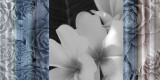 Exotica Frangipani
